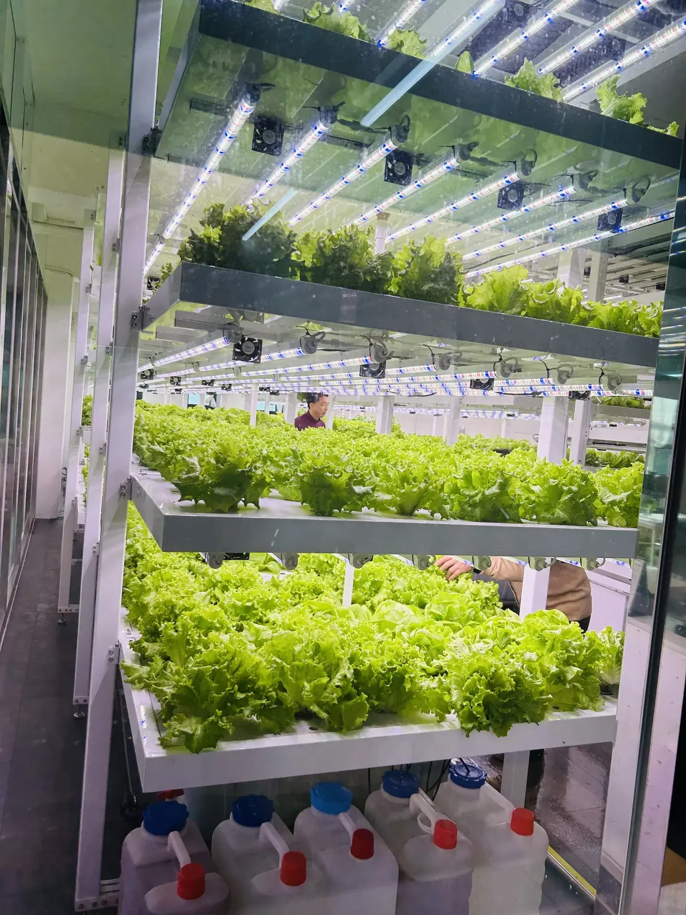 상업 재배시설 Farmin 스마트팜