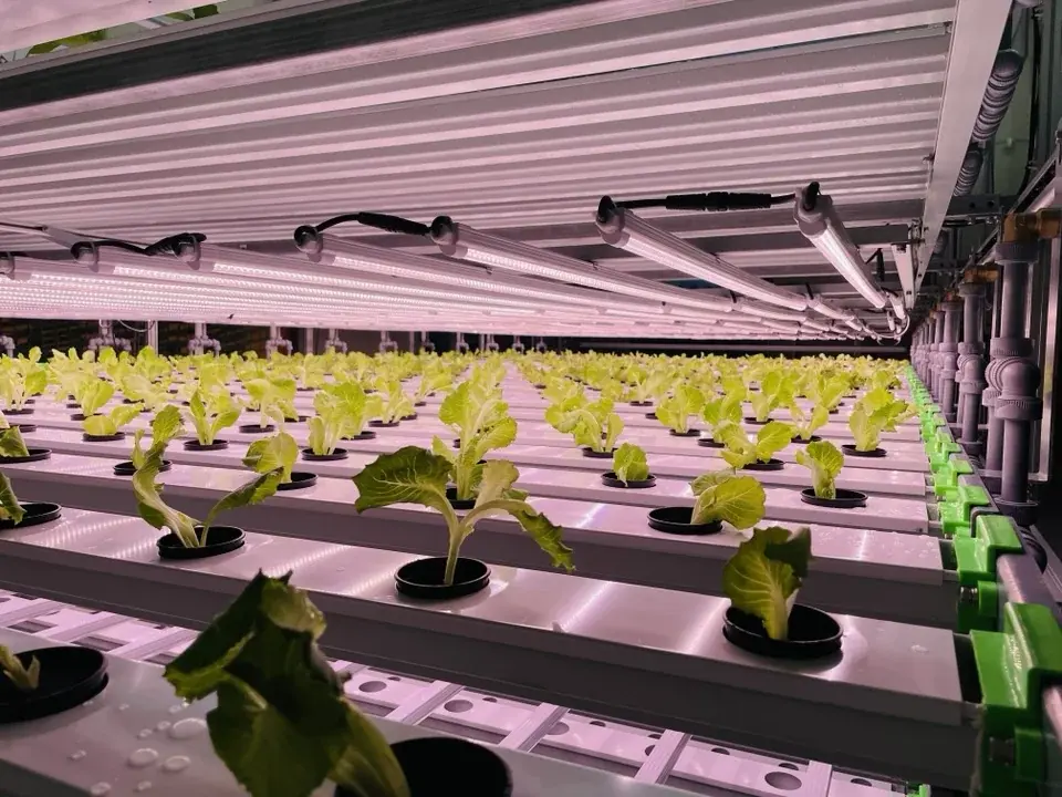 Farmin 스마트팜 설치 현장